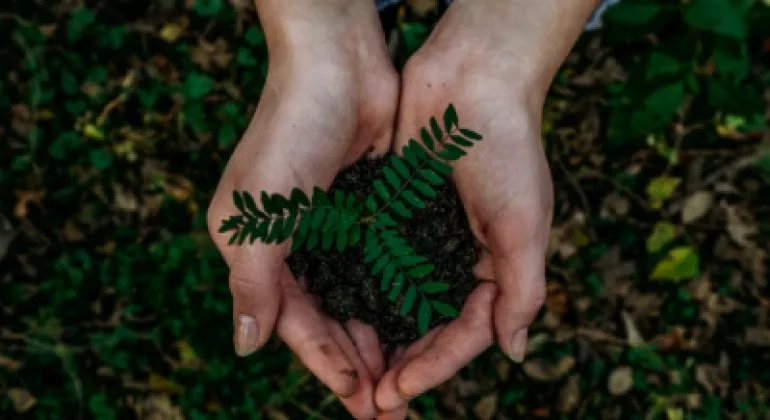 Pretium nisi sed consequat vitae mauris enim enim. Odio non ac semper tincidunt. Non enim nunc elementum imperdiet dolor tincidunt quis. Egestas velit vestibulum diam.