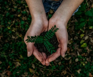 Environmental Protection