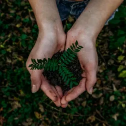 Pretium nisi sed consequat vitae mauris enim enim Odio non ac semper tincidunt Non enim nunc elementum imperdiet dolor tincidunt quis Egestas velit vestibulum diam